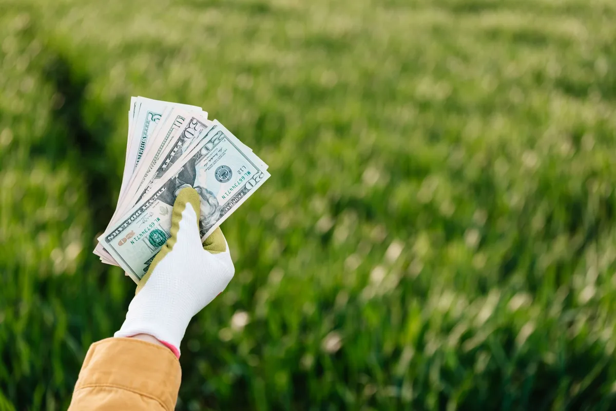 How to Save Money on Fence Repair and Replacement