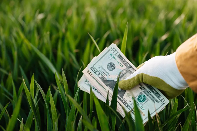 How to Save Money on Lawn Care and Landscaping