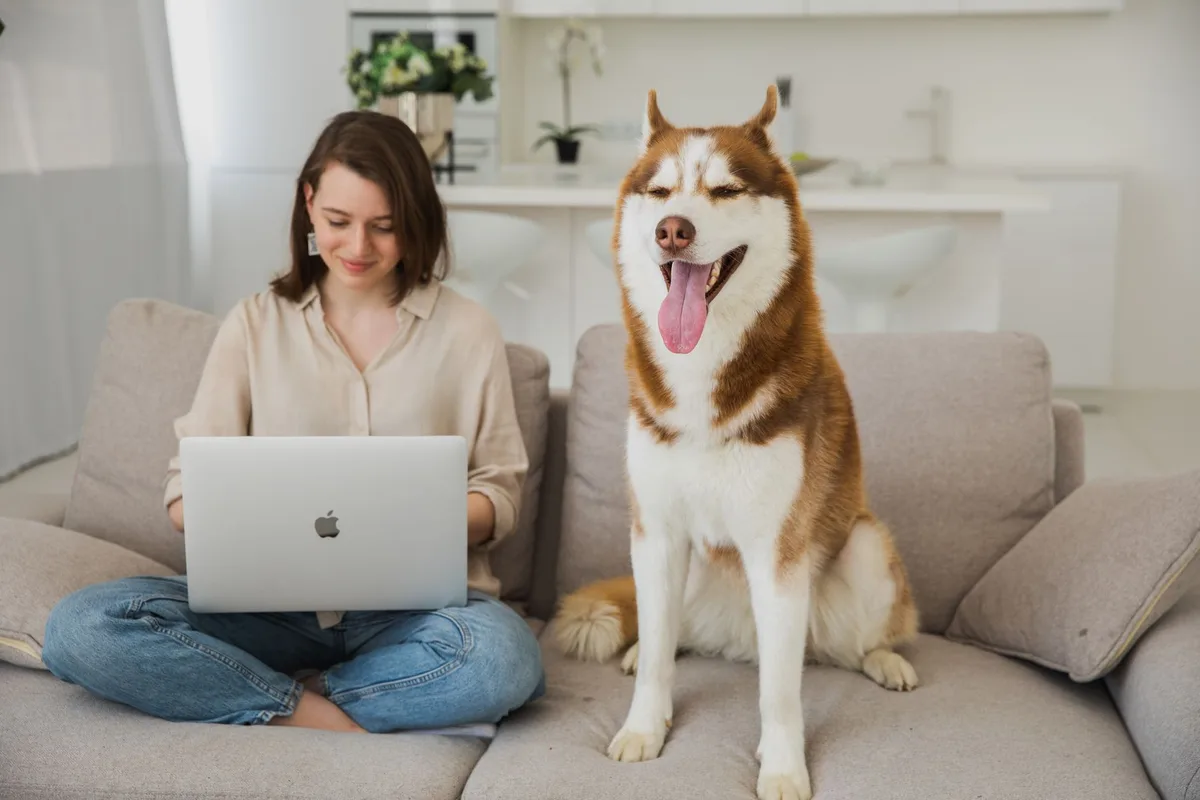 How to Start a Pet Sitting and Dog Walking Business