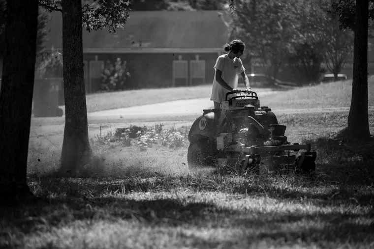 How to Start a Lawn Care Business in 2026