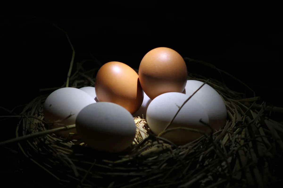 What Is a 457(b) Catch-Up Contribution Explained
