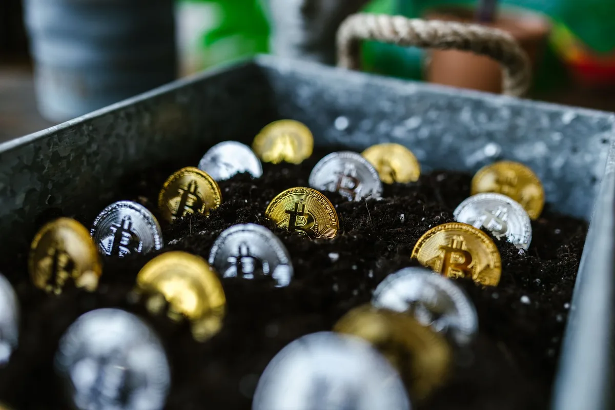 What Is Bitcoin Taproot? Soft Fork Guide 2026