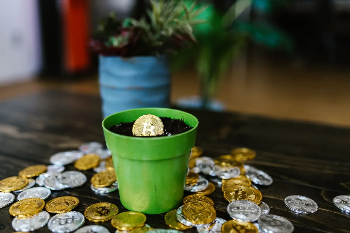What Is Crypto Staking and How Does It Work?