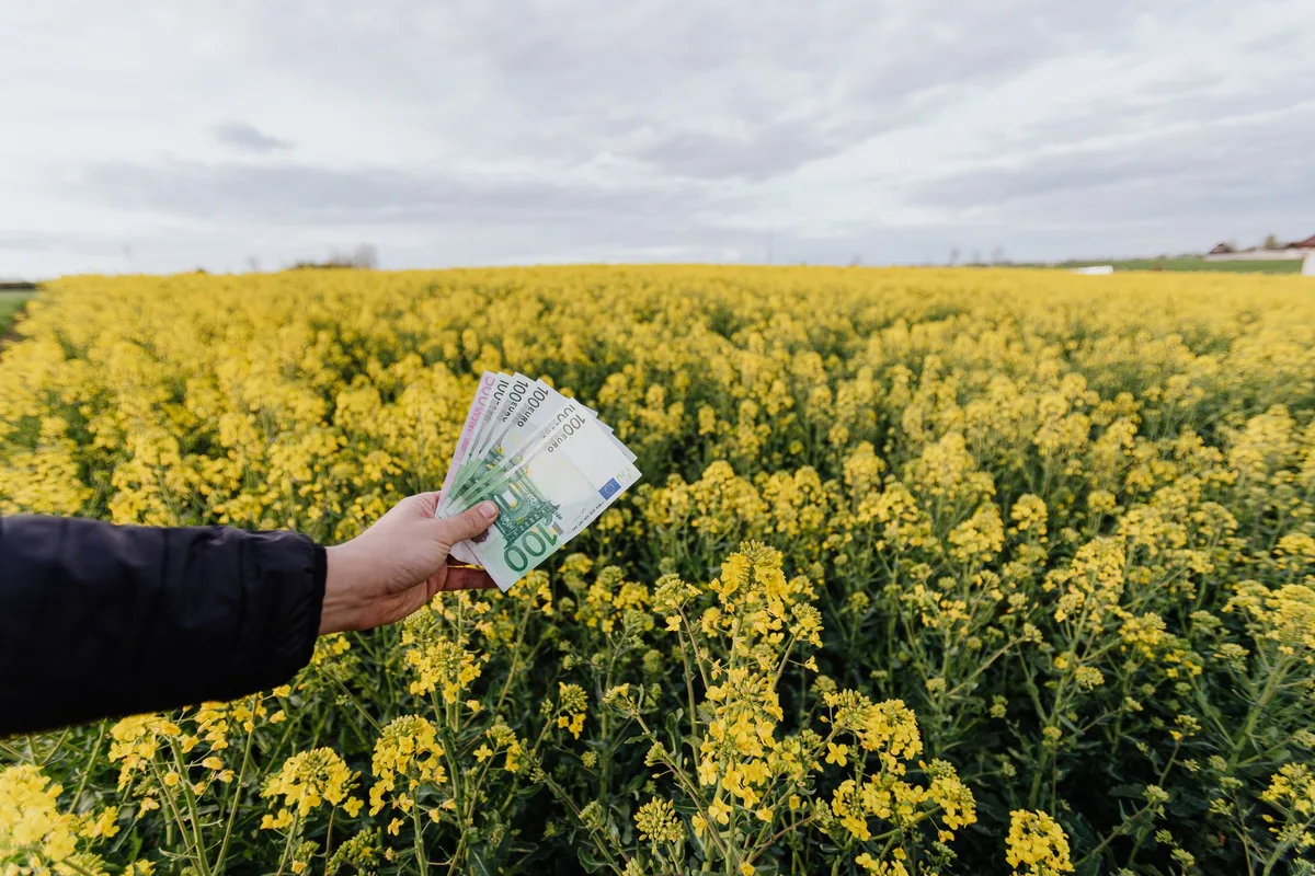 What Is Dividend Yield? A Plain-English Guide