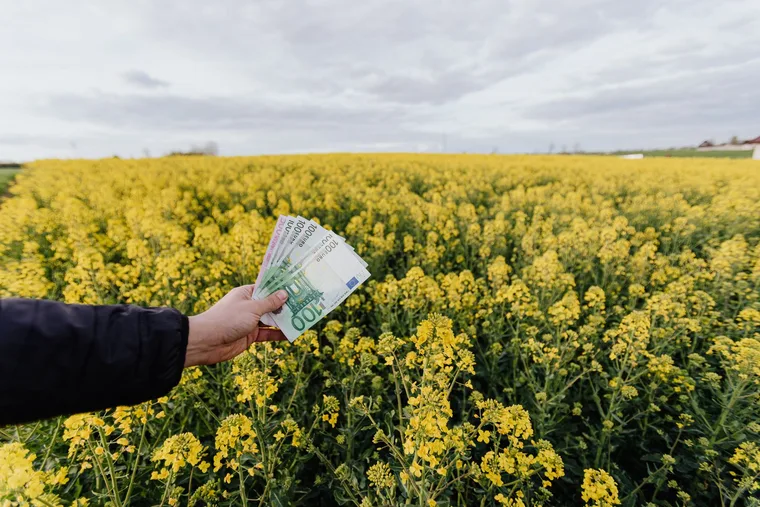 What Is Dividend Yield? A Plain-English Guide